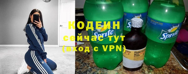 ешки Корсаков