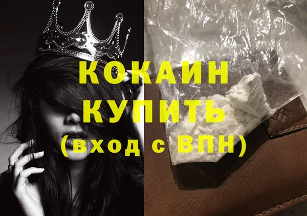 крисы Коряжма