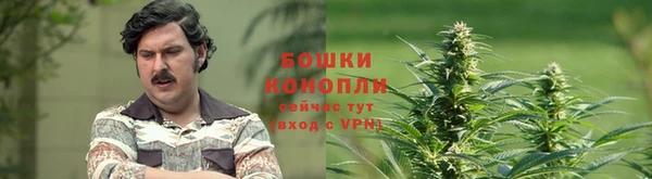 прущая мука Кодинск