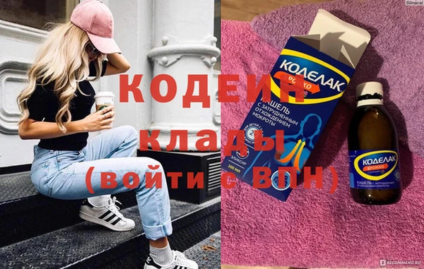ешки Корсаков