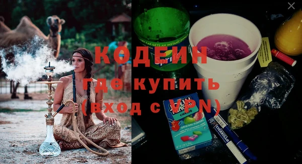 крисы Коряжма