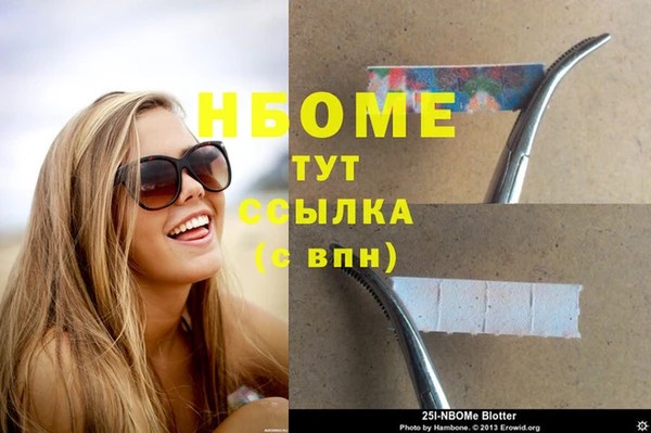 крисы Коряжма