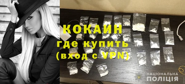 крисы Коряжма