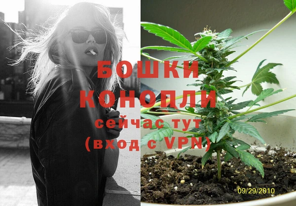 крисы Коряжма