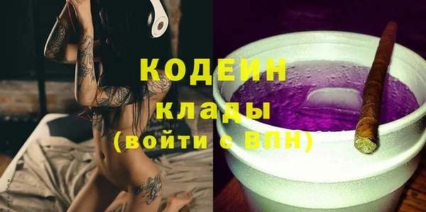 ешки Корсаков