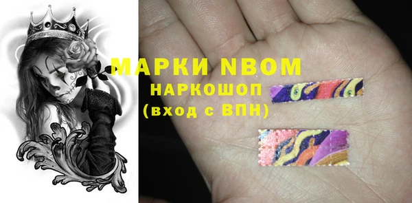 крисы Коряжма
