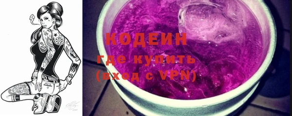 крисы Коряжма