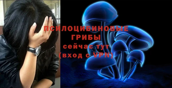 крисы Коряжма