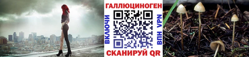 Псилоцибиновые грибы MAGIC MUSHROOMS  продажа наркотиков  Киселёвск 